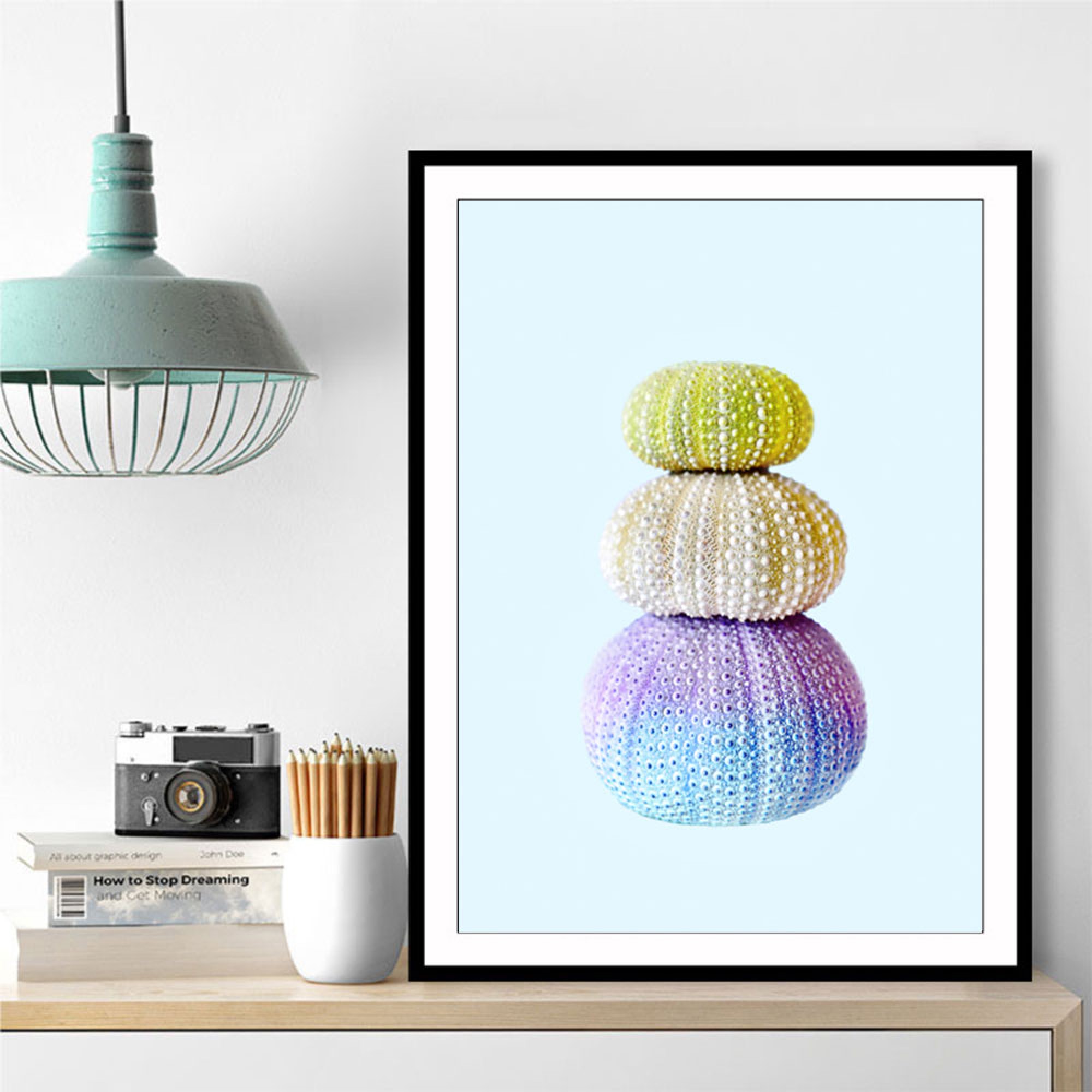 Sea Urchins Wall Art